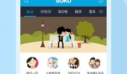 大驴粉丝爆料视频下载安装,下载安装全攻略